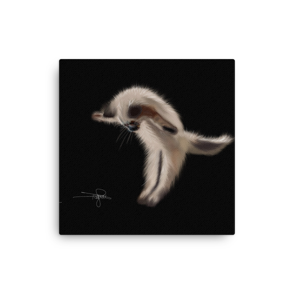 Gorgeous Pouncing Kitten printed on canvas.